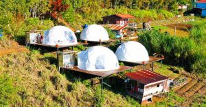Go glamping in Kundasang (Sabah) in this dreamy bubble hotel above the sea of clouds! - Umea Glam Kundasang