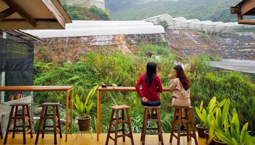 Heahtitude: Stay by the riverside in Cameron Highlands at this 90s’-inspired bed and breakfast!