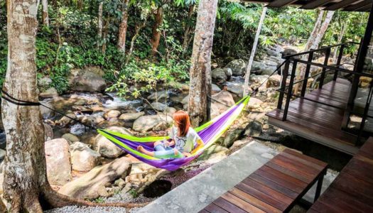 Tanah Larwina: Stay in a glasshouse right by the river in KL!