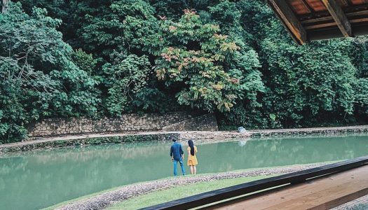 Pineyard – Secret forest cafe in Janda Baik (45 minutes from Kuala Lumpur) by the pond